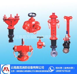 景洪滅火器材與昌茂消防設備 選購指南與市場價格解析